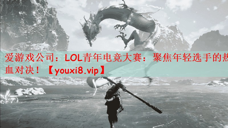 爱游戏公司：LOL青年电竞大赛：聚焦年轻选手的热血对决！