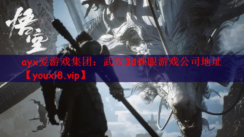 武汉3d裸眼游戏公司地址