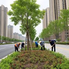 贝博中国 市政绿化工程技术交底范本